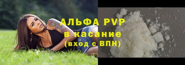 сатива Богданович