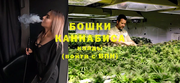 прущие грибы Балабаново