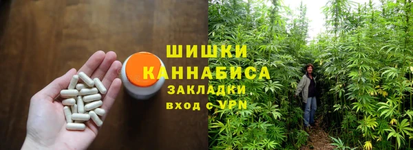 соль ск Богородск