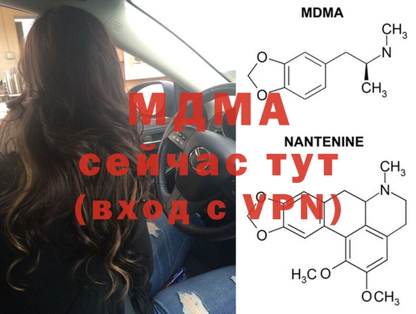 прущие грибы Балабаново