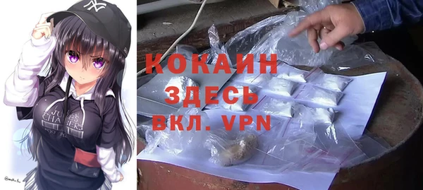 сатива Богданович