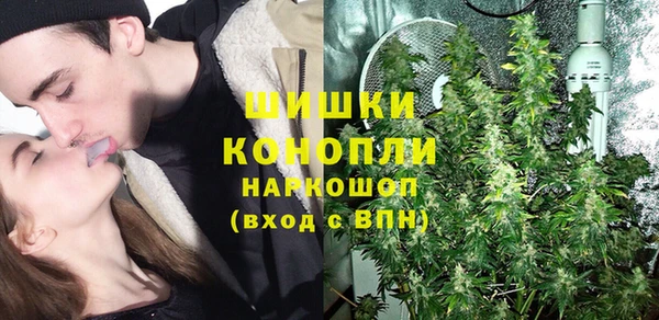 соль ск Богородск