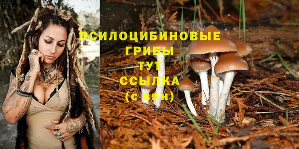 сатива Богданович