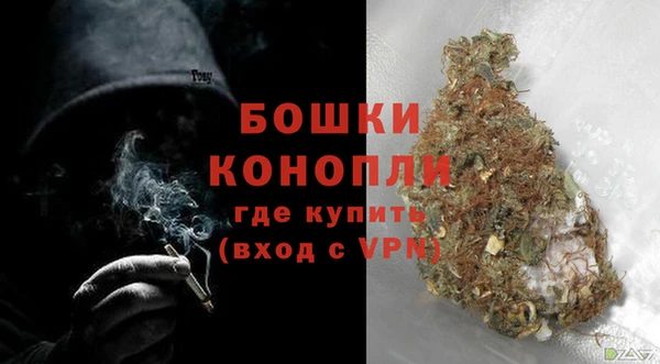 сатива Богданович