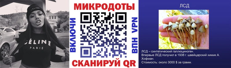 Псилоцибиновые грибы Psilocybine cubensis  где продают наркотики  hydra зеркало  Калач-на-Дону 