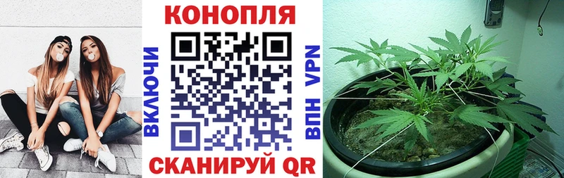 Конопля LSD WEED Калач-на-Дону